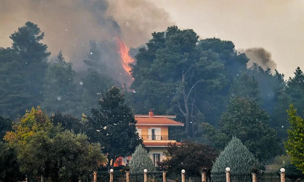 Ηλεία: Ανεξέλεγκτη η φωτιά στο Γεράκι Αμαλιάδας – Έκτακτη σύσκεψη Κικίλια